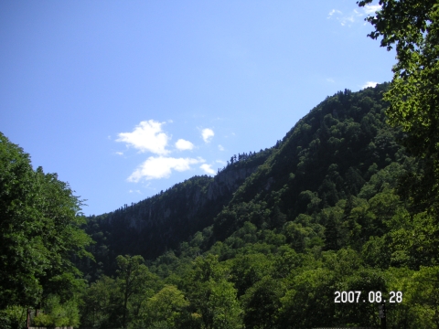 s_PICT0314.jpg